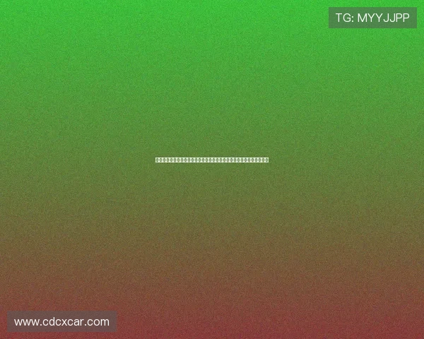 德甲网络平台助力足球迷互动体验全面提升开启全新赛事直播与社交功能